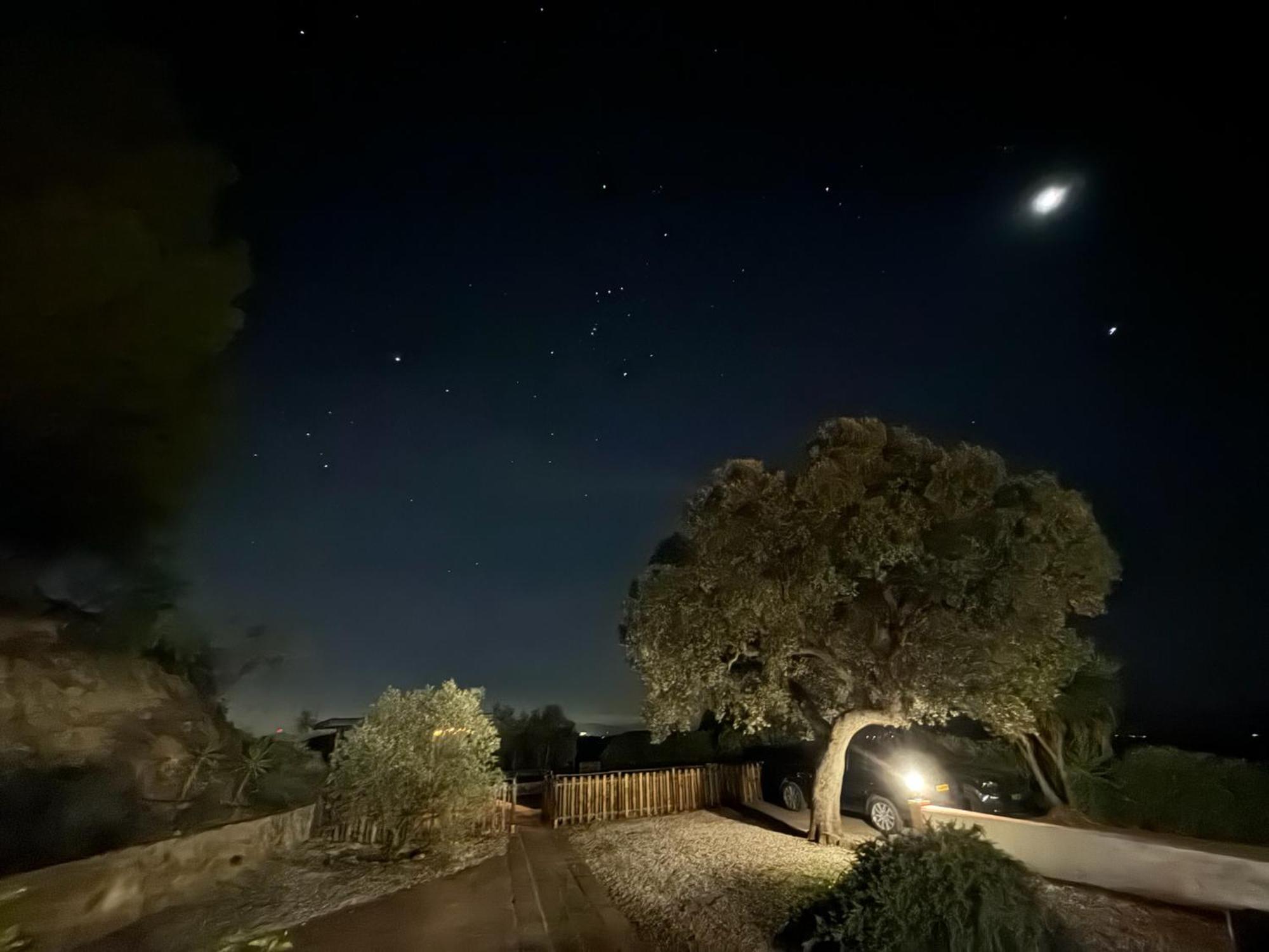 Finca El Sueno Andaluz Villanueva de la Concepcion Ngoại thất bức ảnh