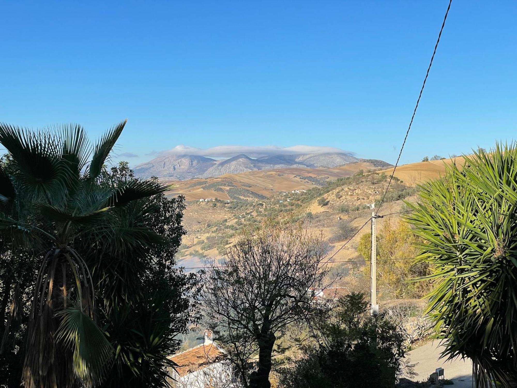 Finca El Sueno Andaluz Villanueva de la Concepcion Ngoại thất bức ảnh