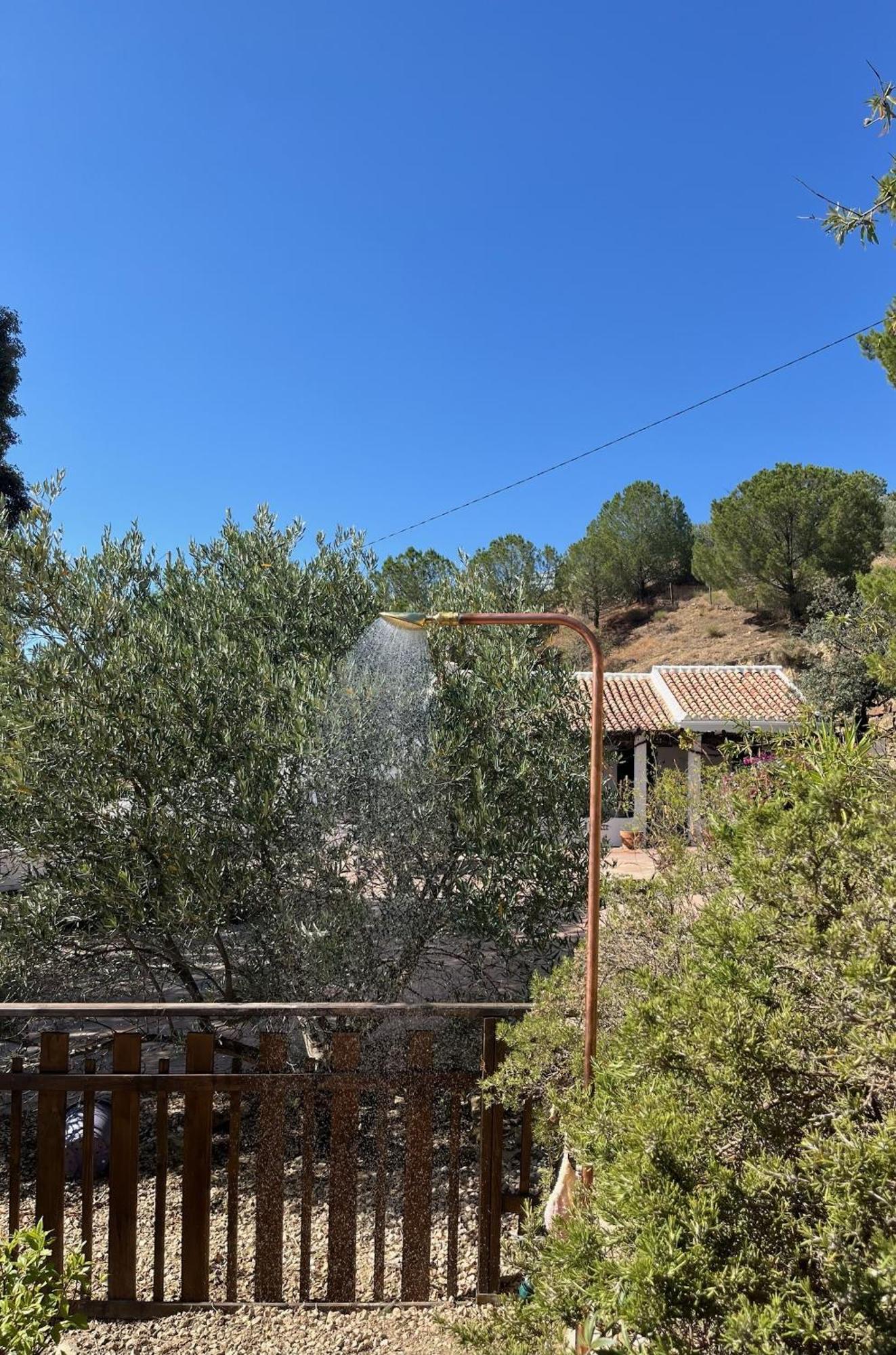 Finca El Sueno Andaluz Villanueva de la Concepcion Ngoại thất bức ảnh