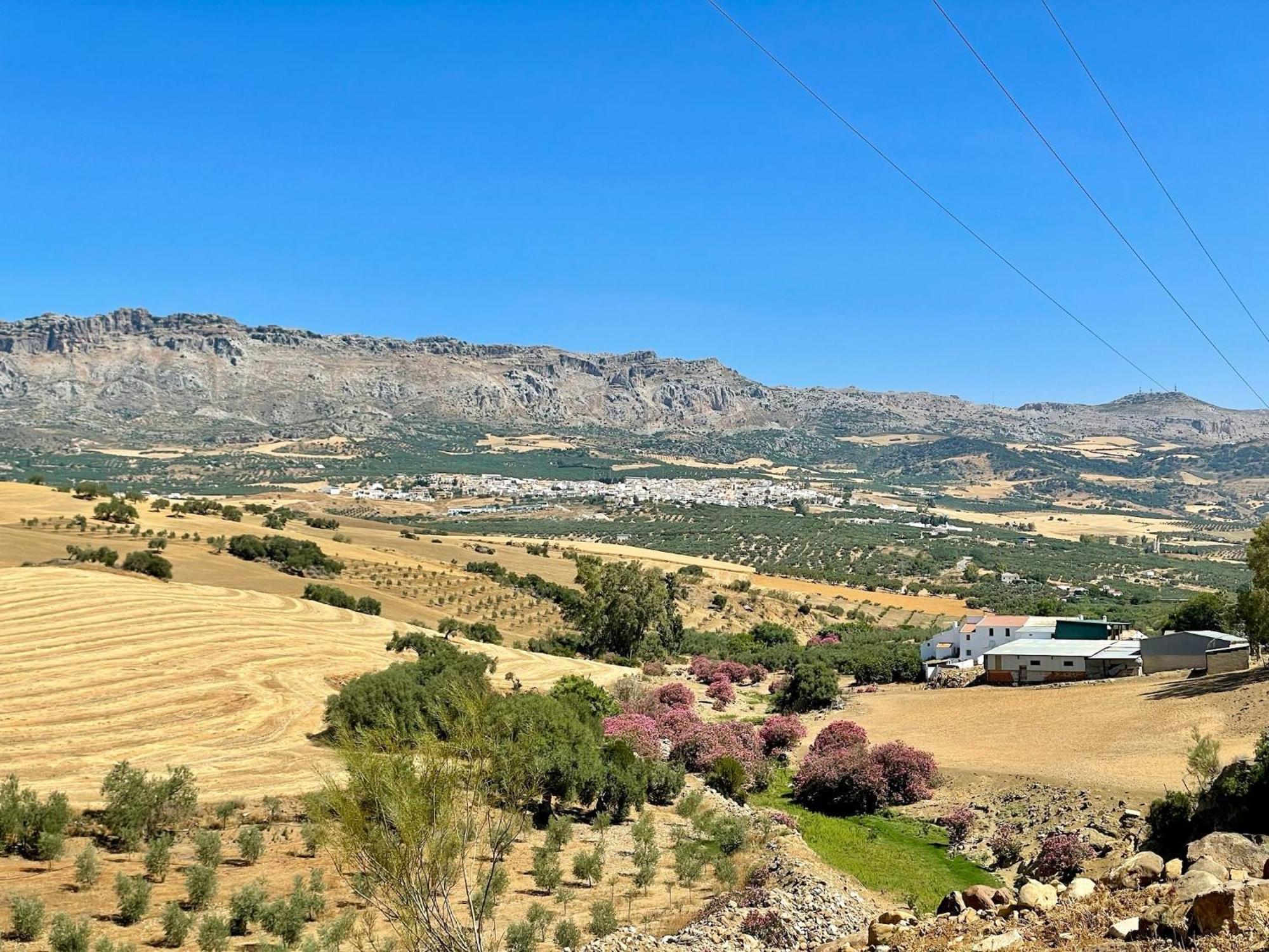 Finca El Sueno Andaluz Villanueva de la Concepcion Ngoại thất bức ảnh
